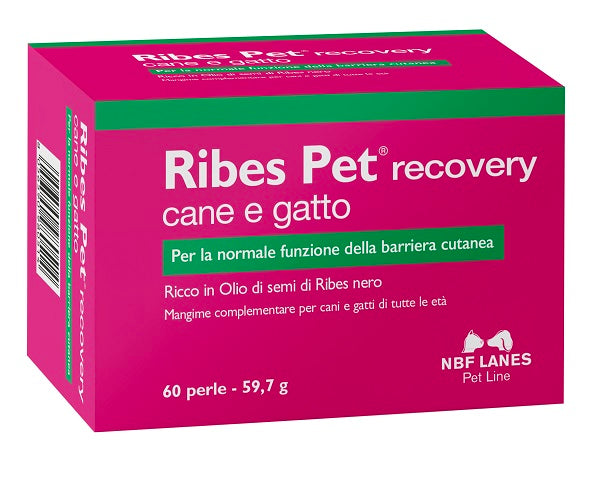 Ribes Pet Recovery 60 Perle