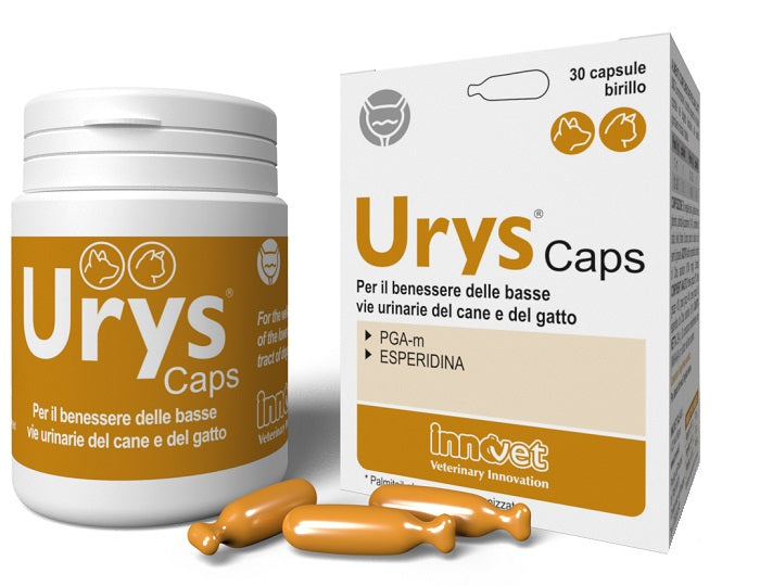 Urys Caps 30Compresse