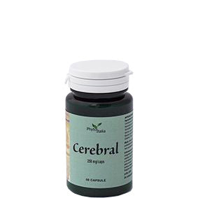 Cerebral Ayurved 60Compresse