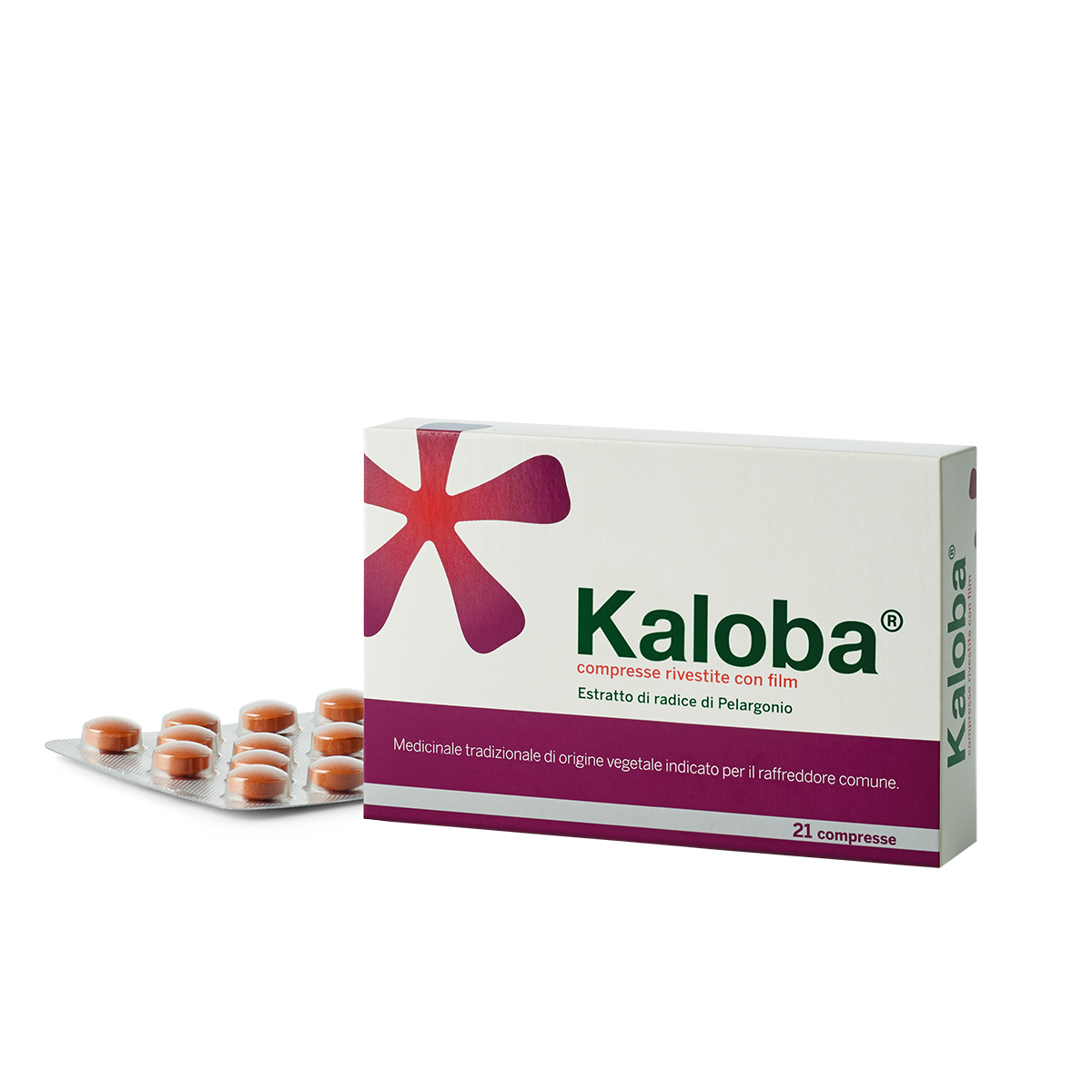 Kaloba*21 Compresse Riv