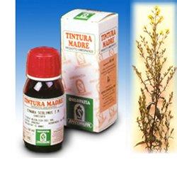 Verga Oro 26 50ml Tm