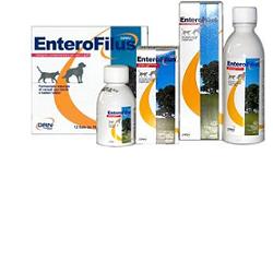 Enterofilus 12X10ml