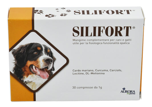 Silifort 30 Compresse 1G
