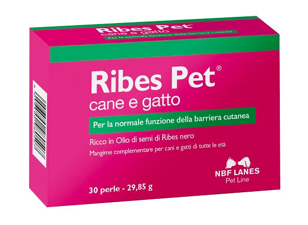 Ribes Pet 30 Perle