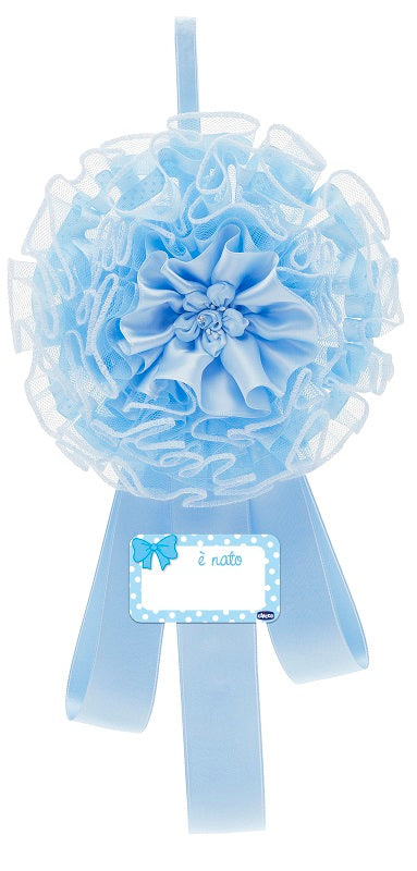 Ch Fiocco Nascita Azzurro