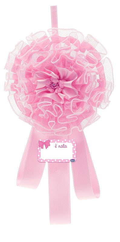 Ch Fiocco Nascita Rosa