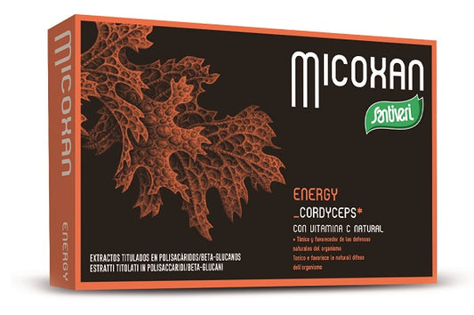 Micoxan Energy 40Compresse