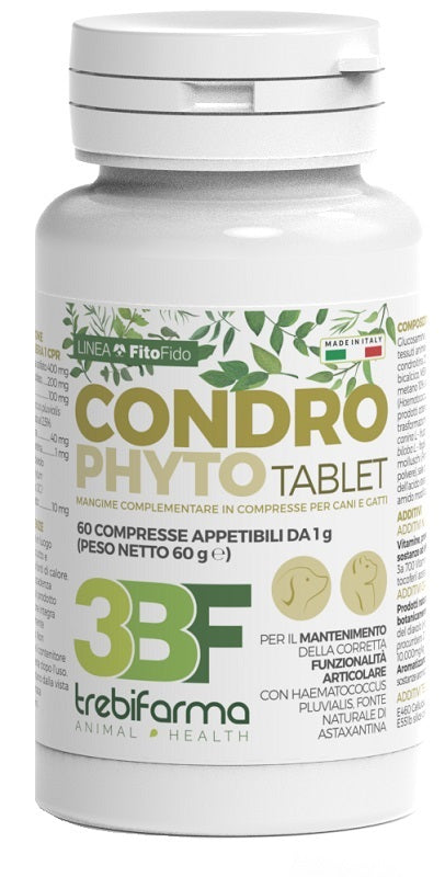 Condrophyto 60 Compresse 1G