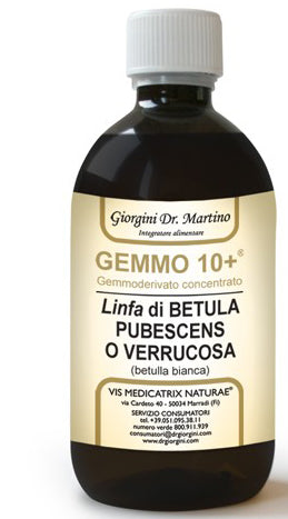 Betulla B Linfa An Gemm10+ 500