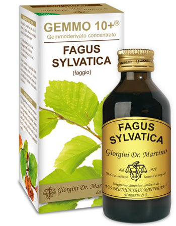 Faggio 100ml Analco Gemmo 10+