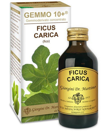Fico 100ml Liq Analco Gemmo10+