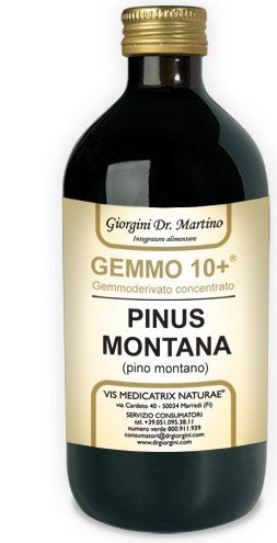 Pino Mont 500ml Analco Gem 10+