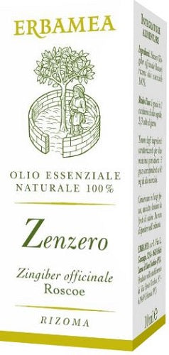 Zenzero 10ml