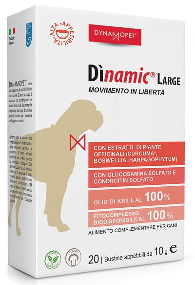 Dinamic Large 20 Bustine 10G