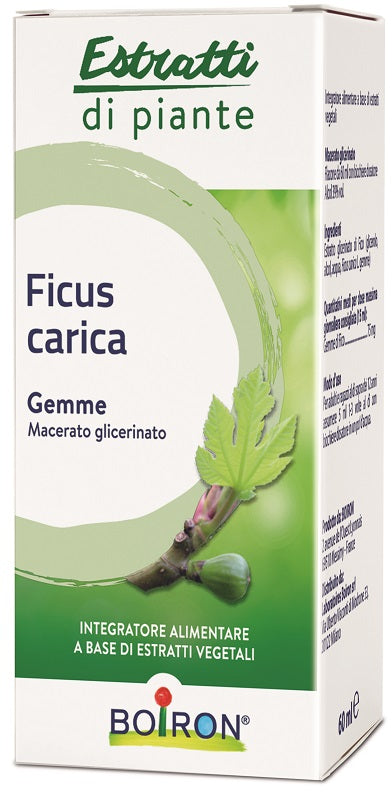 Ficus Carica Boiron Mg 60ml