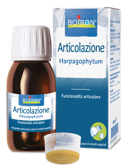 Harpagophytum Boiron Ei 60ml