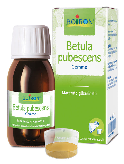 Betula Pubesc Boiron Mg 60ml