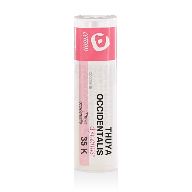 Thuya Occident 35K Gr