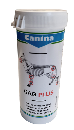 Gag Plus 200G 120 Tavolette