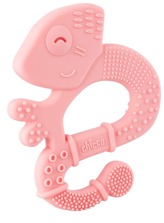 Ch Massaggia Dentar Girl 2M+