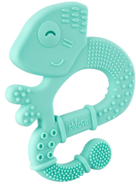 Ch Massaggia Dentar Boy 2M+