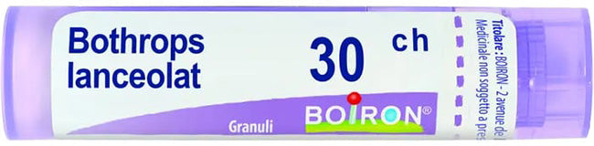 Bothrops Lancetteeolatus 30Ch Gr