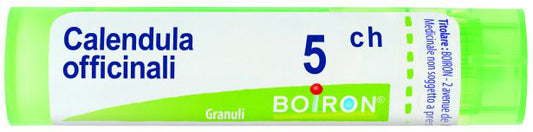 Calendula Off 5Ch Gr
