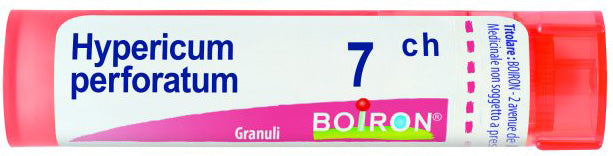 Hypericum Perf 7Ch Gr