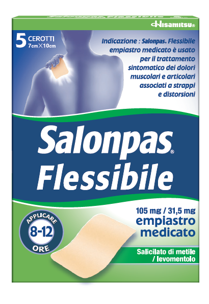 Salonpas Flessibile*5Cer7X10Cm