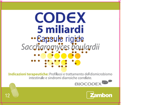 Codex 12 Compresse 5mld 250Mg